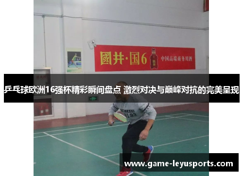 乒乓球欧洲16强杯精彩瞬间盘点 激烈对决与巅峰对抗的完美呈现
