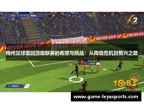 梅州足球重回顶级联赛的希望与挑战：从降级危机到复兴之路