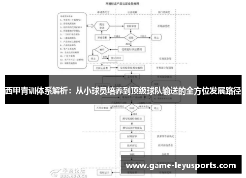 西甲青训体系解析：从小球员培养到顶级球队输送的全方位发展路径