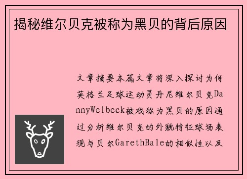 揭秘维尔贝克被称为黑贝的背后原因 揭秘维尔贝克被称为黑贝的背后原因